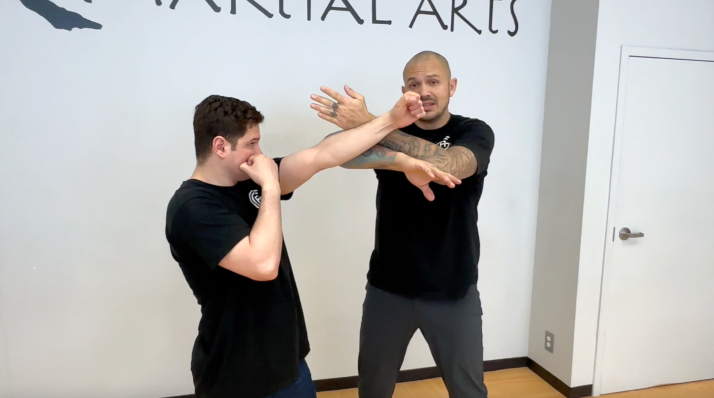 Self Defense Foundations - Level 1 Online Training