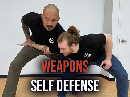 Our Complete Curriculum - Get All 3 Levels 30% OFF